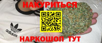 индика Гусь-Хрустальный