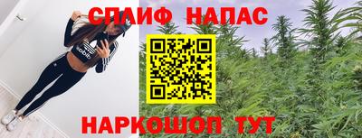 индика Гусь-Хрустальный